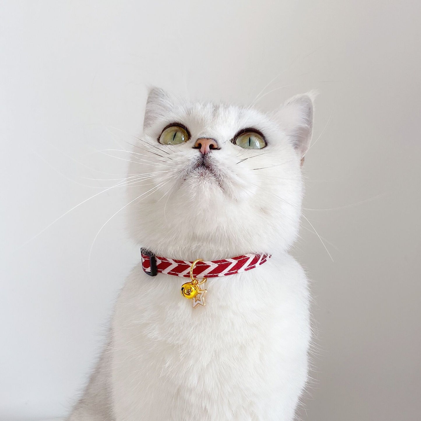 Adjustable Pet cat dog Collar with Pentagram Geometry Stripes