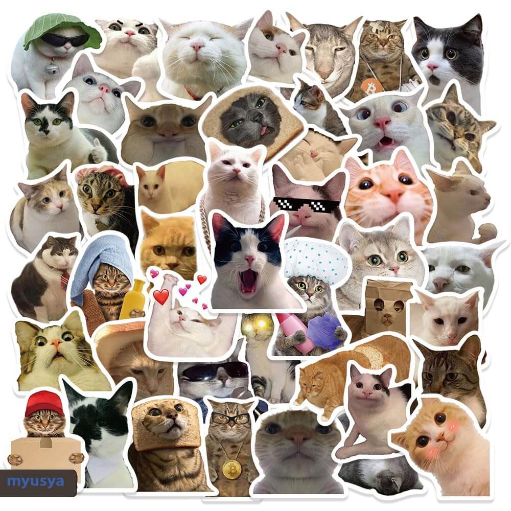 50 Pcs Cat Stickers Funny Cat Meme Kawaii Pet Vinyl Decal Sticker