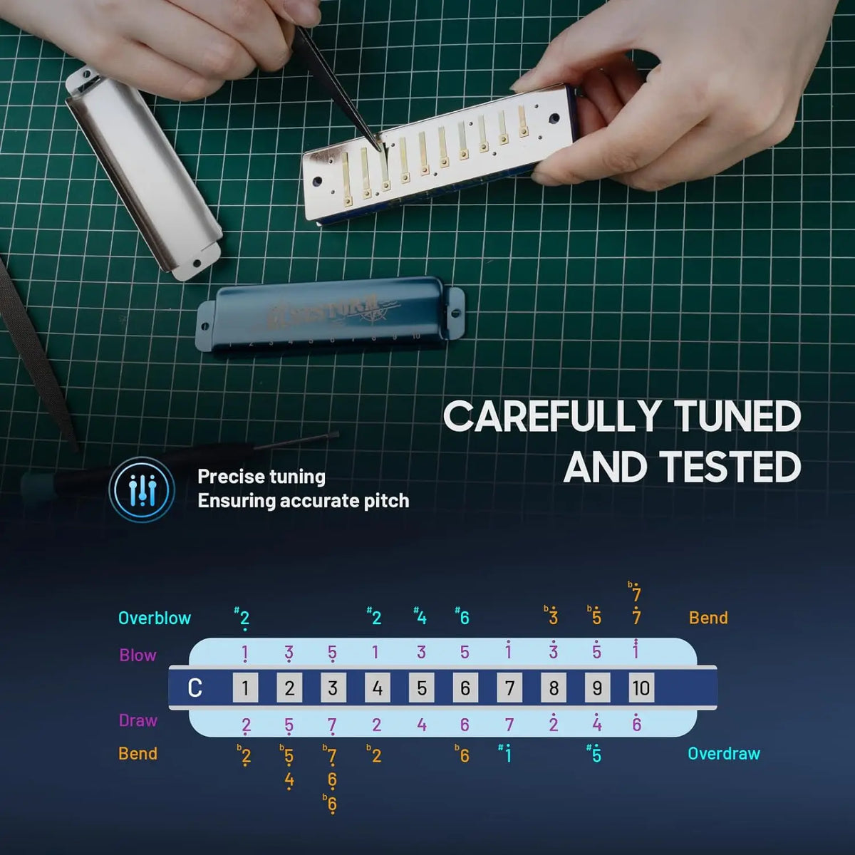 CONJURER 10 Holes Diatonic Harmonica WH1005BS BLUESTORM in 12 Keys for Professionals, Adults, Beginners and Gifts