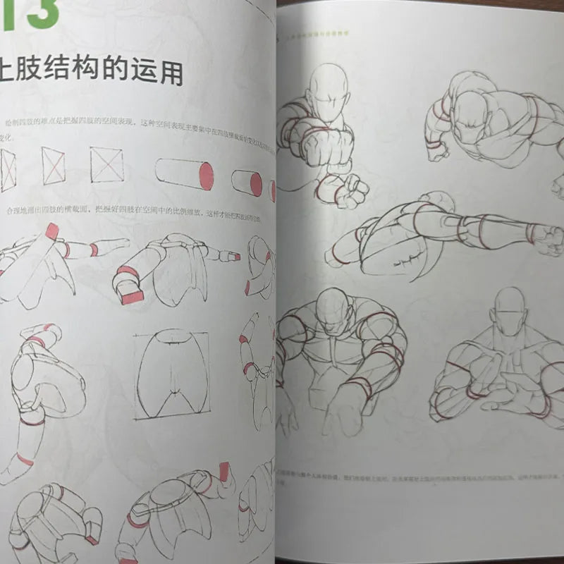Professional Human Anatomy Drawing Book for Artists Body Structure Principles 80 Pose Guides
