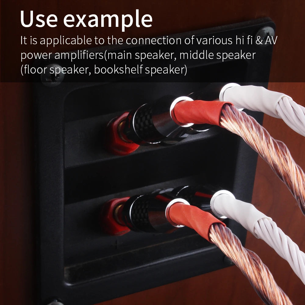 YYAUDIO One Pair 12TC Hifi Speaker Cable With 2 Banana Plug to 2 Banana Jack Hi-end OCC Speaker Wire