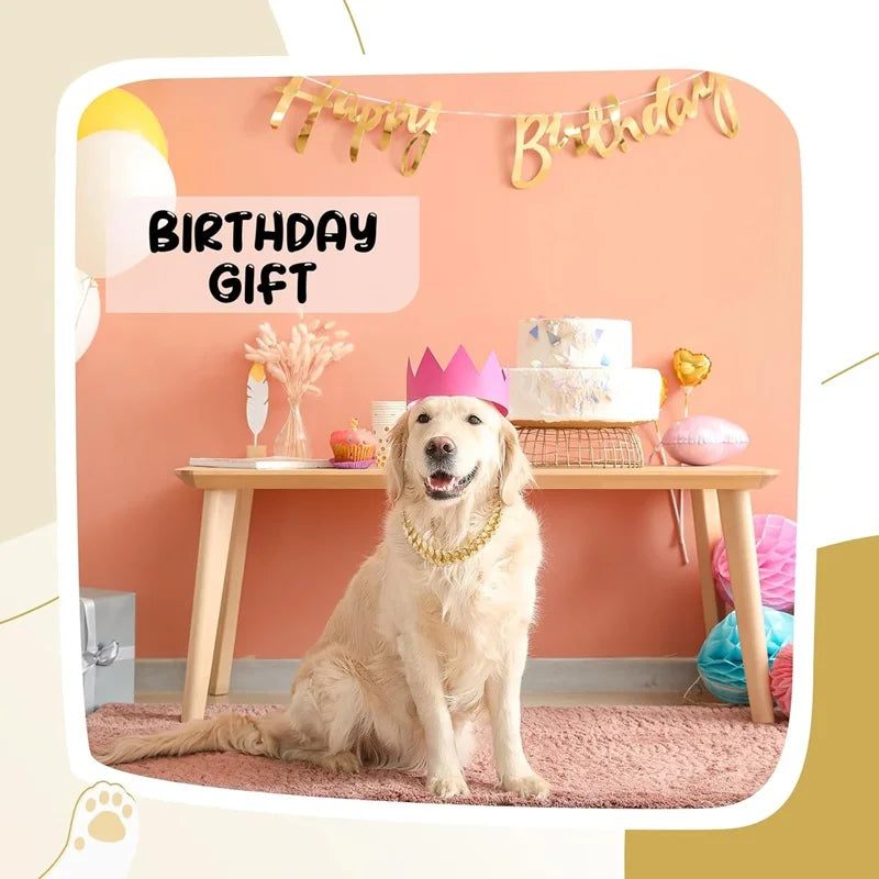 Dog Chain Collar Luxury Gold Pet Metal Chain Collar For Small Medium Large Dogs Cats Pet Jewelry Necklace Accessorie