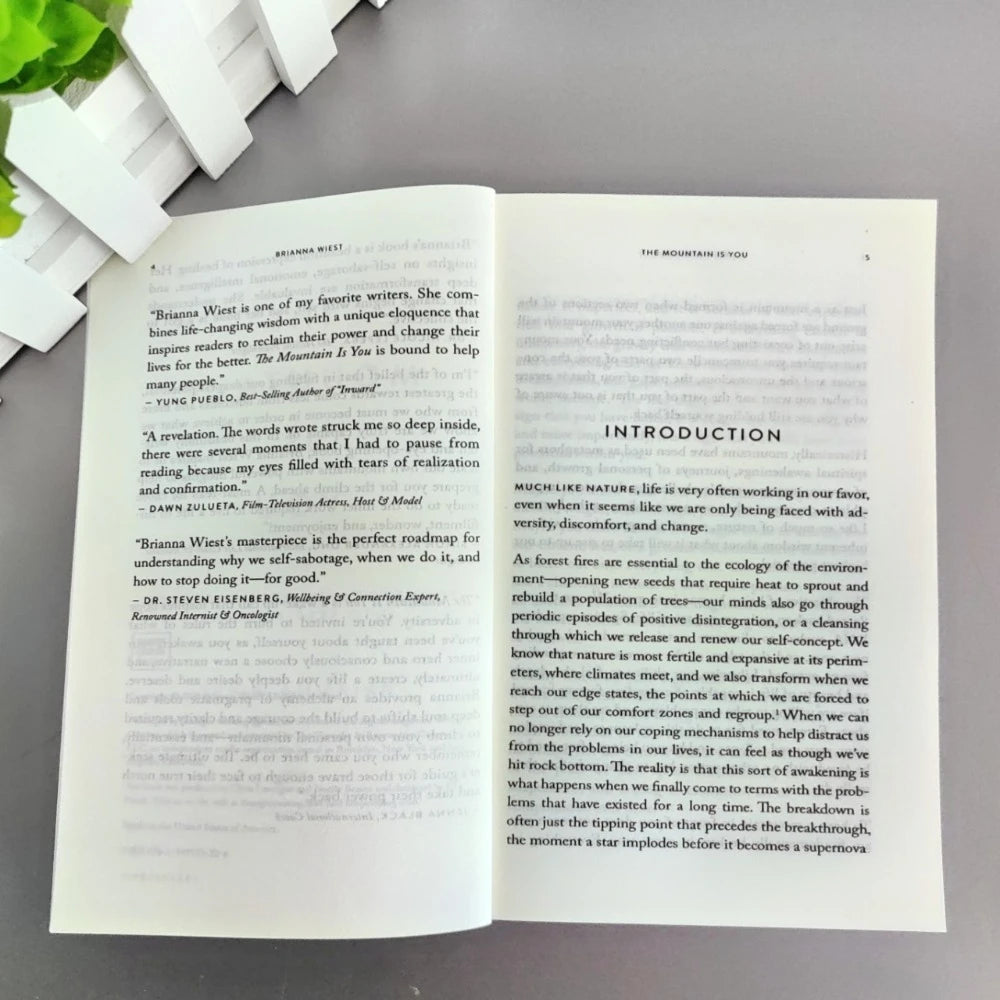 The Mountain Is You English Book Self Transformation Psychology Self Help Reading Book Inspirational Self Growth Novel