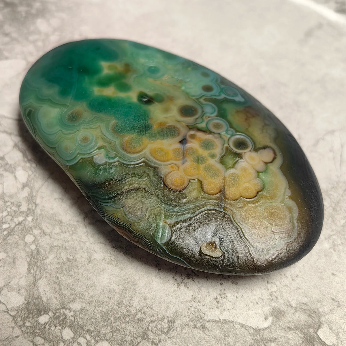 Large Natural Gobi Agate Palm Stone Flower Eye Mongolian Raw Rock Minor Flaws Unpolished For Collectors Home Decor Display