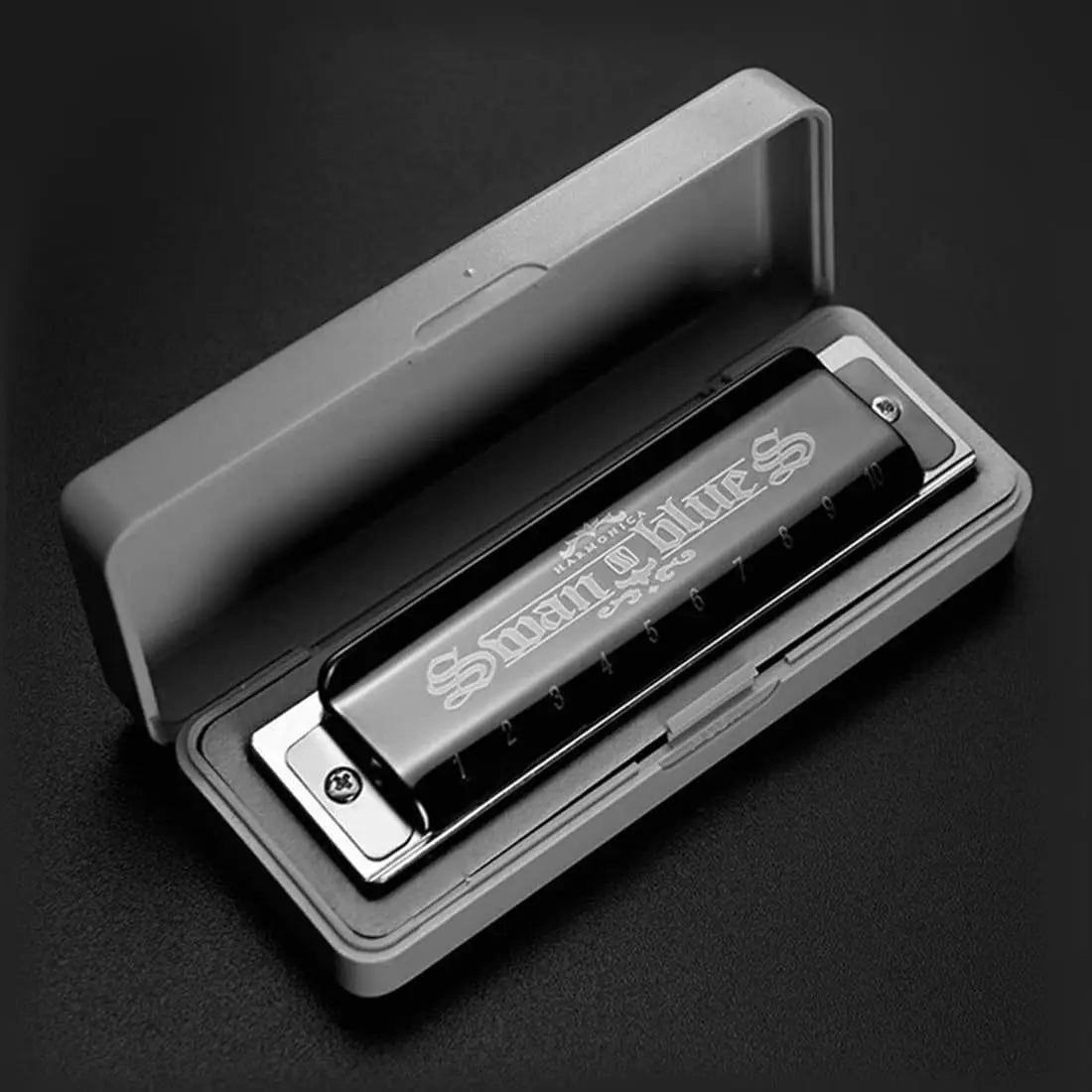 Blues Harmonica Armonica Mouth Organ Harp 10 Holes Harmonica Key of C Diatonic Professional Advanced Music Instrument for Adults