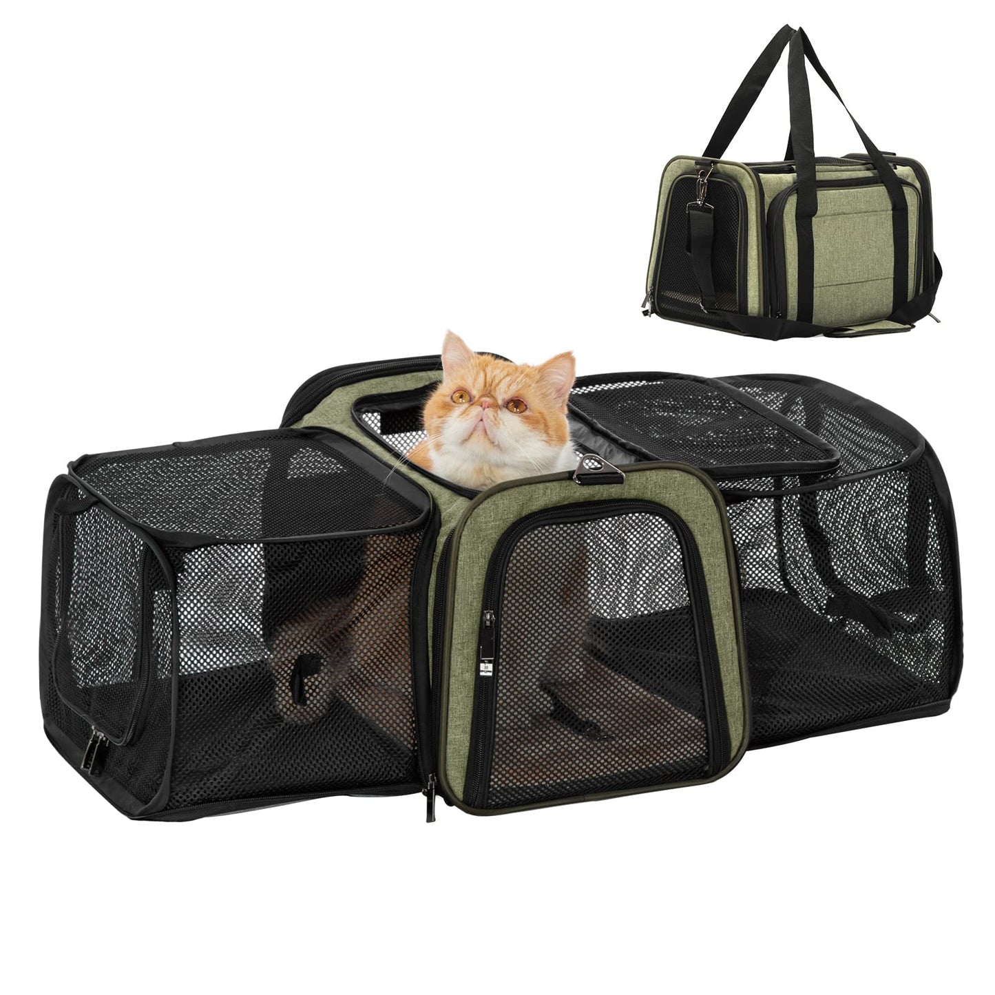 Petsfit Pet Carrier Airline Approved Cat Carrier with Locking Zipper and Shoulder Strap Storage Pockets Expandable Pet Carrier Small Dog Carrier up to 15 Pounds Army Green M