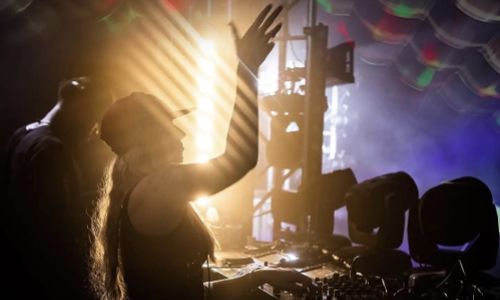 DJ performing at a vibrant event, showcasing party planning ideas with lights and excitement.