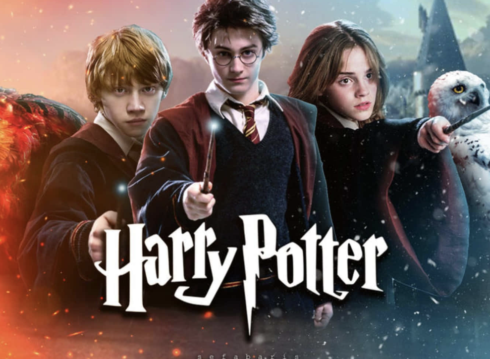 Harry Potter characters with wands in a magical setting from the harry potter toy collection.