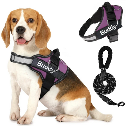 Service dog Pet Dog Harness with Leash