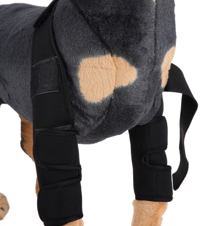 Dog Knee Brace and Leg Protector for Injury Recovery Multi sizes