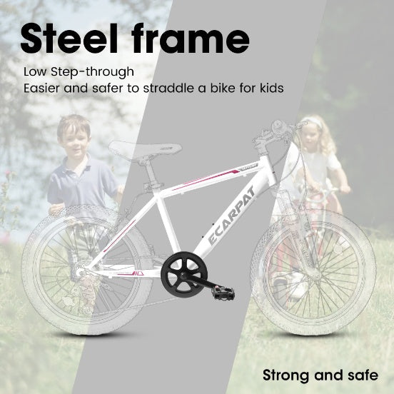 Mountain Dirt Bikes 20inch