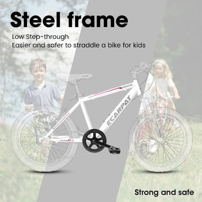 Mountain Dirt Bikes 20inch