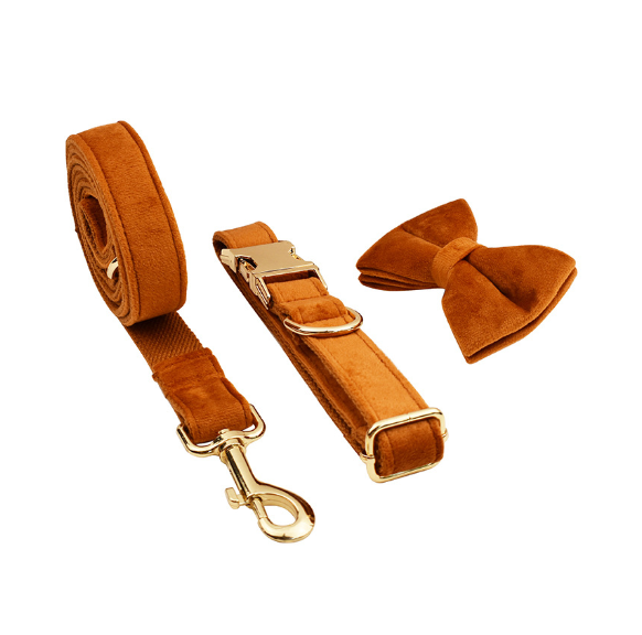 Velvet Pet dog cat Collar with Traction Rope