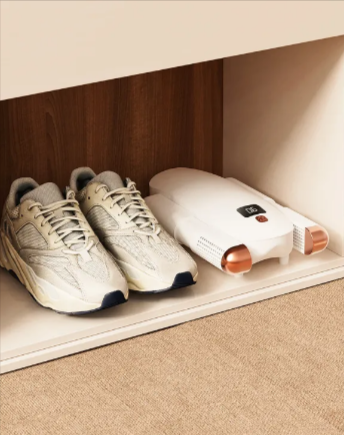 Electric Folding Shoe Dryer with display