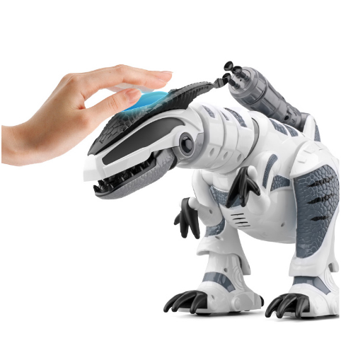 Remote Control Interactive Dinosaur Robot Toy for Boys RC