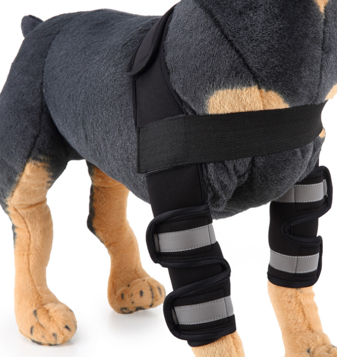 Dog Knee Brace and Leg Protector for Injury Recovery Multi sizes
