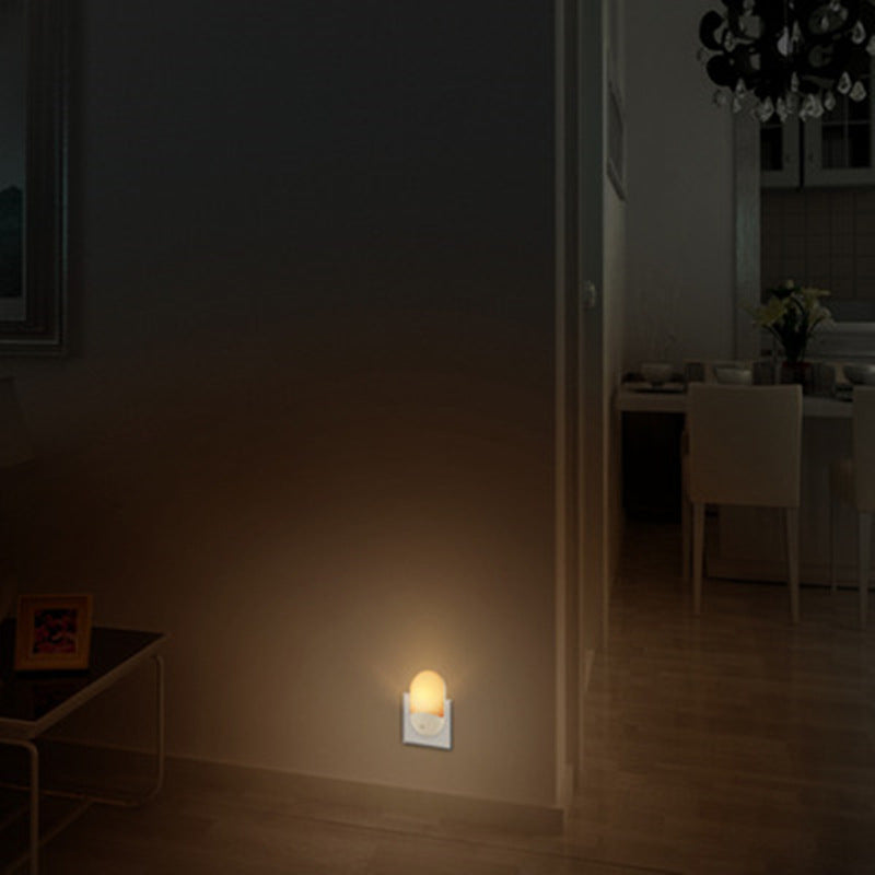 LED Wall Light with Plug-in and Light Control Night Light