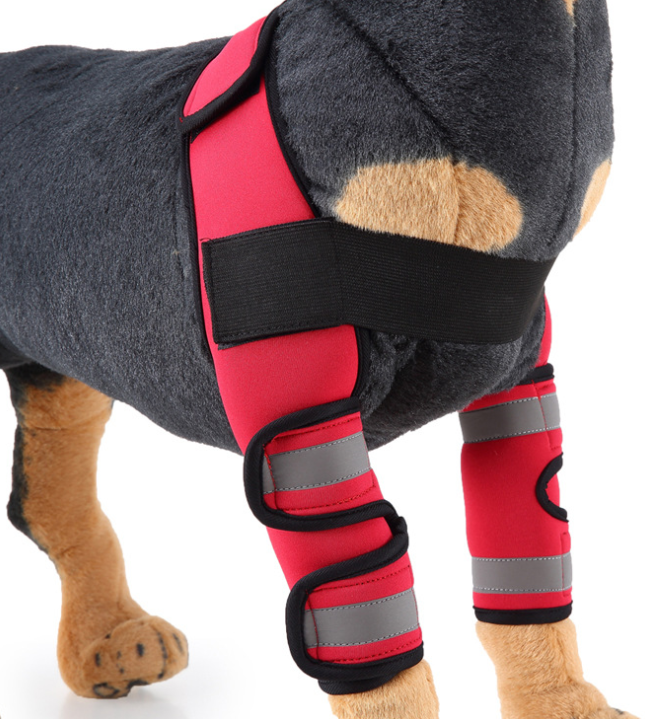 Dog Knee Brace and Leg Protector for Injury Recovery Multi sizes