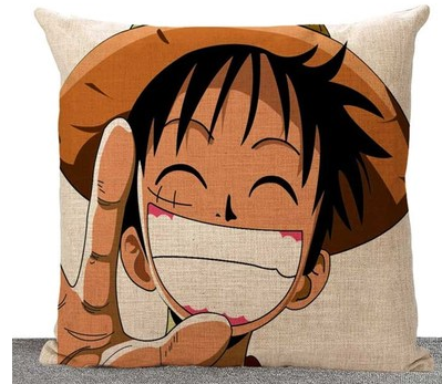 One Piece Pillow and Cushion Cover Multi styles