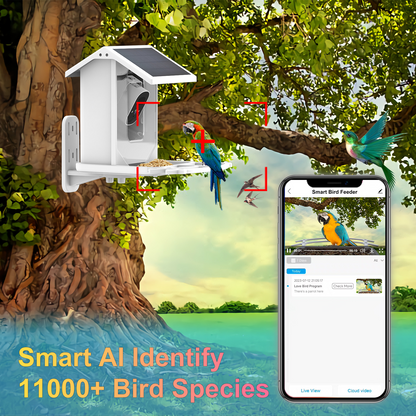 Solar powered bird Feeder with Camera