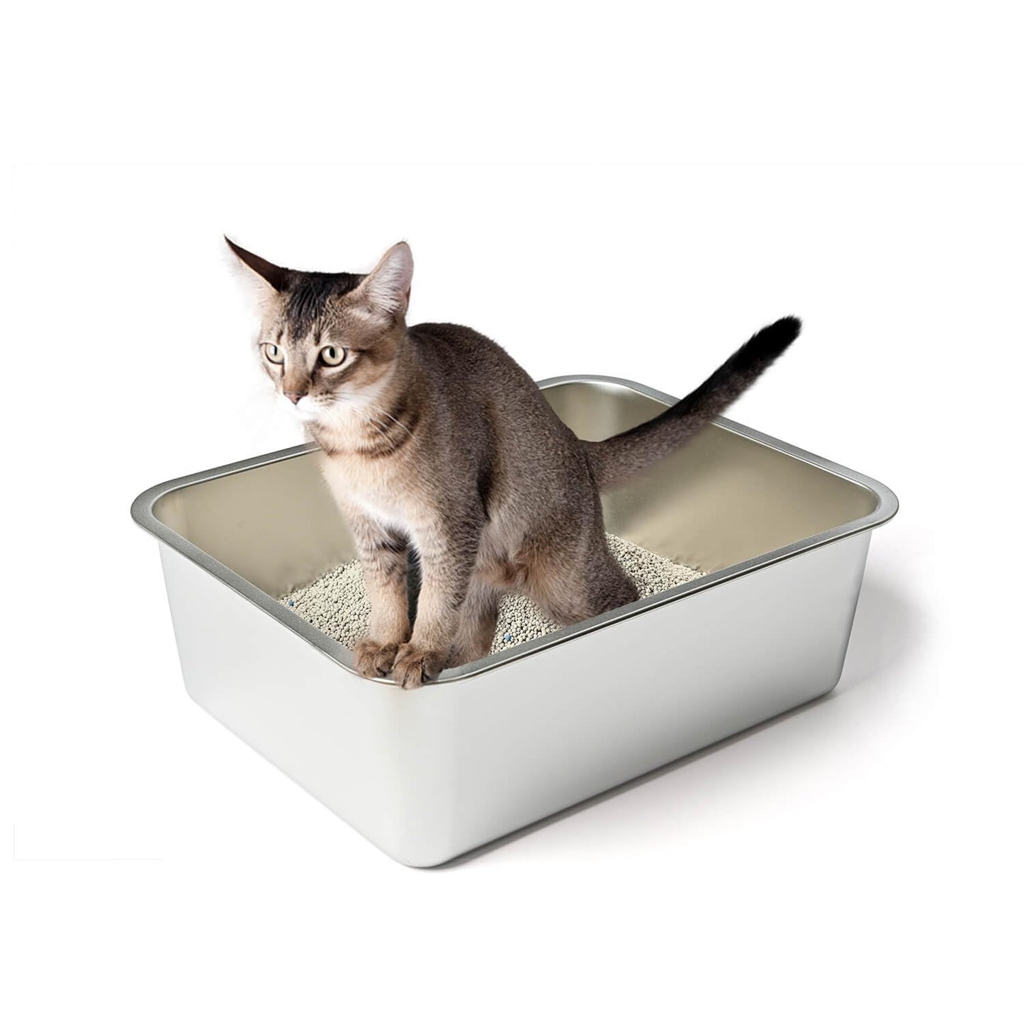 WePet Stainless Steel Cat Litter Box High Sides Kitten Toilet Top Open Pet Tray Non-Stick Odorless Rust-Resistant Easy-Clean Pan Silver Box (24x16x6 Inch)