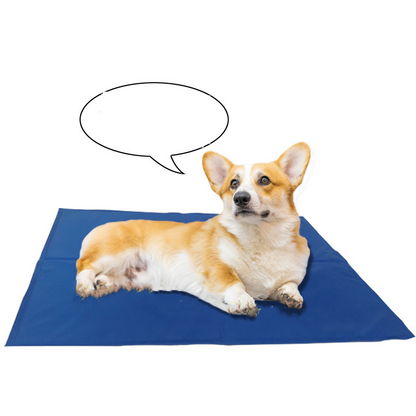 Cooling Pet Bed dog cat multi size summer essential