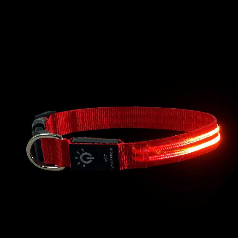 LED Waterproof Night cat dog Pet Collar with Lighting USB