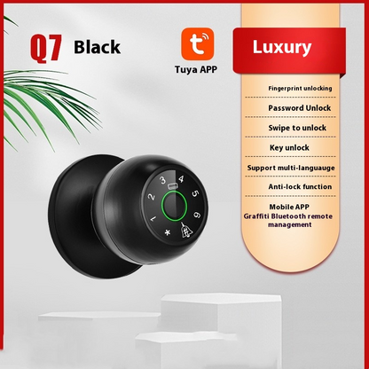 Home door Smart Lock hardware secure access supports up to 100 fingerprints passwords cards