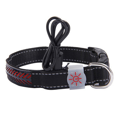 LED Light-Up dog Pet Collar multi color