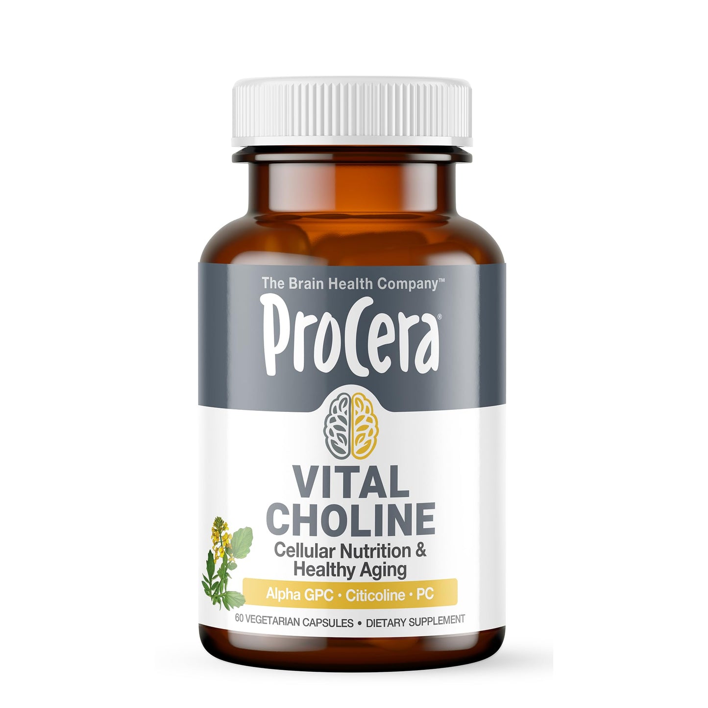 Procera Vital Choline - Supports Memory & Mental Clarity - Promotes Healing from Brain Injury & Cellular Regenertation - Healthy Brain Aging - Stress Management - Cognitive Function - 60 Count
