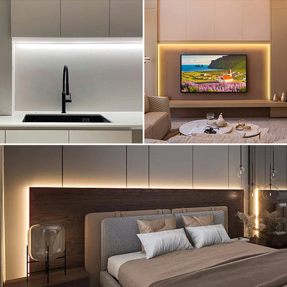 12V LED Neon Light Strip Kit with RF Remote Controller