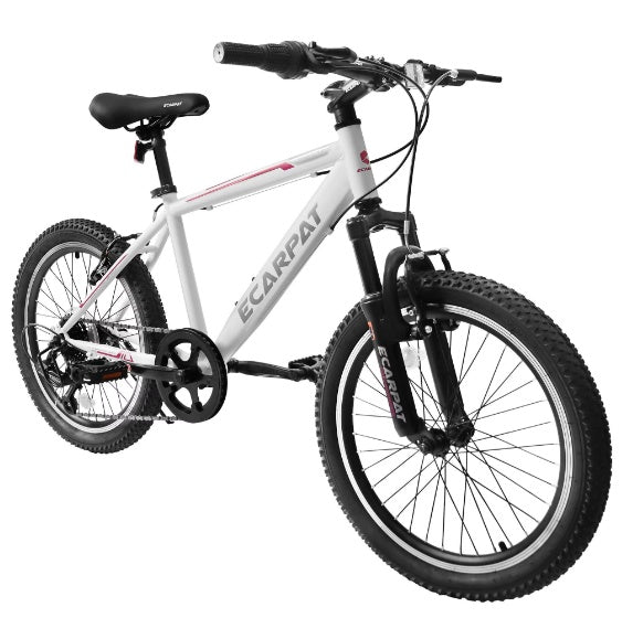 Mountain Dirt Bikes 20inch