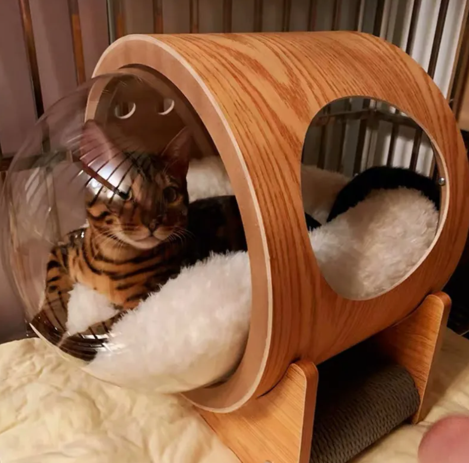 Clear Dome Pet dog cat Bed furniture