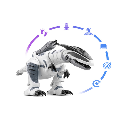 Remote Control Interactive Dinosaur Robot Toy for Boys RC