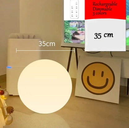 Night Light USB charging with RC 220v