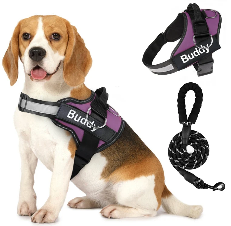 Service dog Pet Dog Harness with Leash