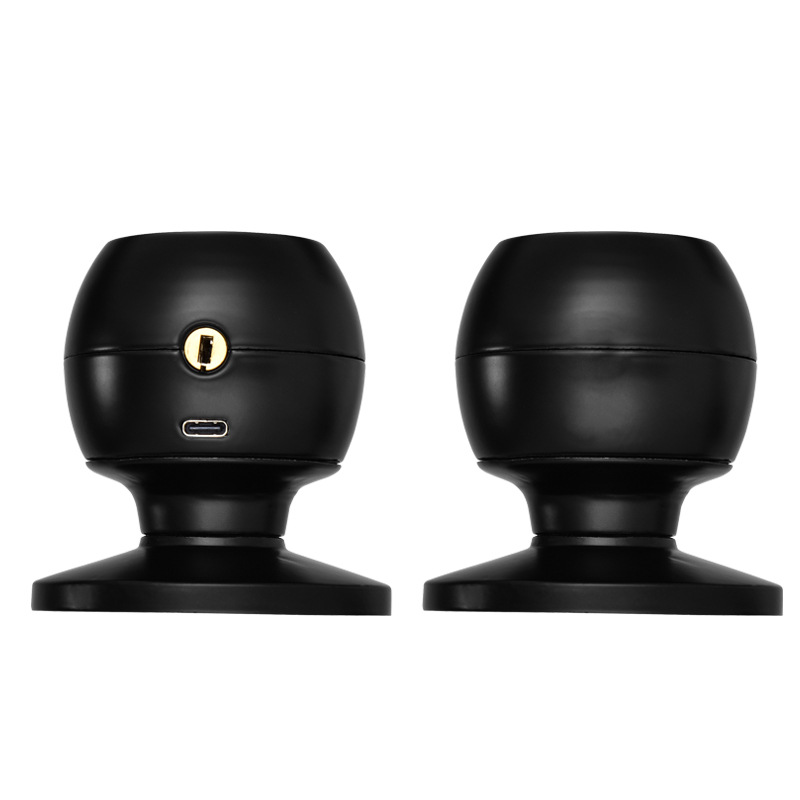 Home door Smart Lock hardware secure access supports up to 100 fingerprints passwords cards