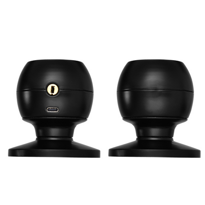 Home door Smart Lock hardware secure access supports up to 100 fingerprints passwords cards