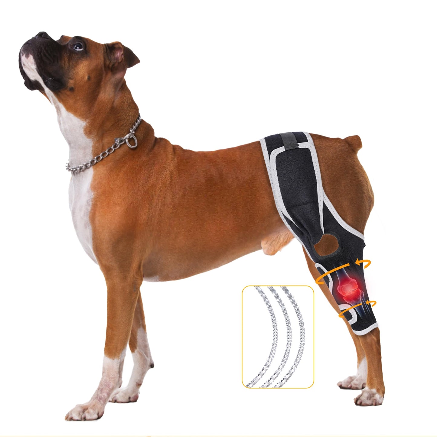 Size medium Dog Knee Brace for Hip Dislocation Cruciate Ligament Injury Stabilizing Support Pain Relief Pet Knee Wound Protection