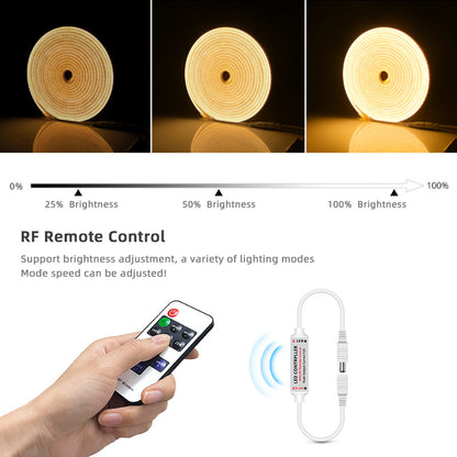 12V LED Neon Light Strip Kit with RF Remote Controller