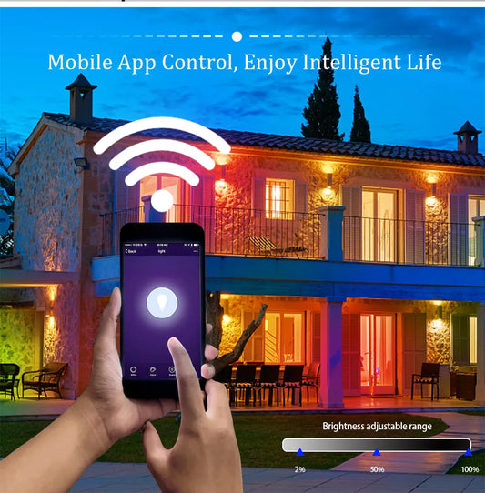 WiFi Smart control Floodlight Waterproof Outdoor Courtyard