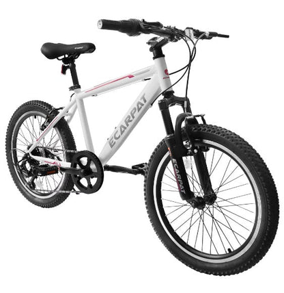 Mountain Dirt Bikes 20inch