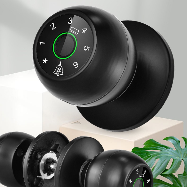 Home door Smart Lock hardware secure access supports up to 100 fingerprints passwords cards