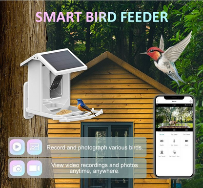 Solar powered bird Feeder with Camera