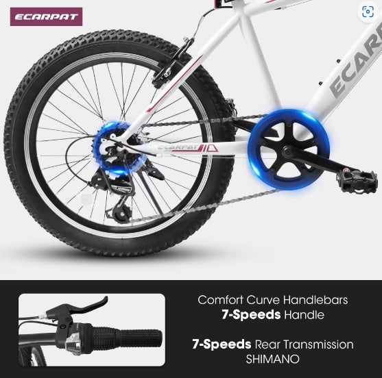 Mountain Dirt Bikes 20inch