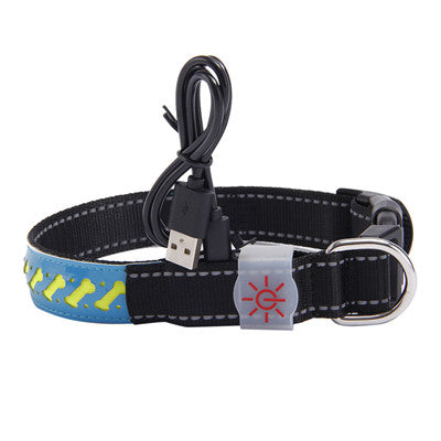 LED Light-Up dog Pet Collar multi color