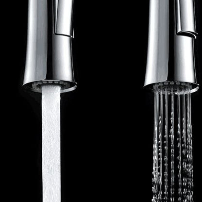 Pull-Down Kitchen Sink Sprinkler Faucet Shower Head