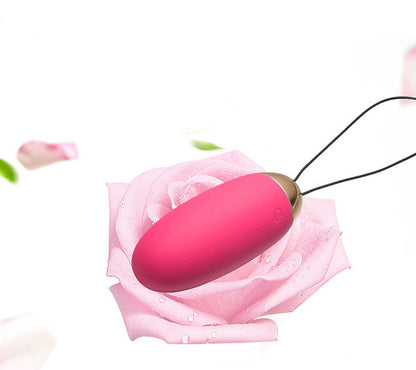 Wireless Remote Control Vibrator for Women adult toy massage couple