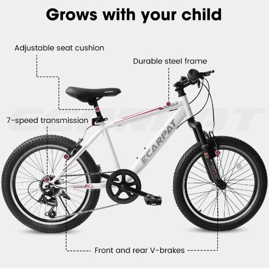 Mountain Dirt Bikes 20inch
