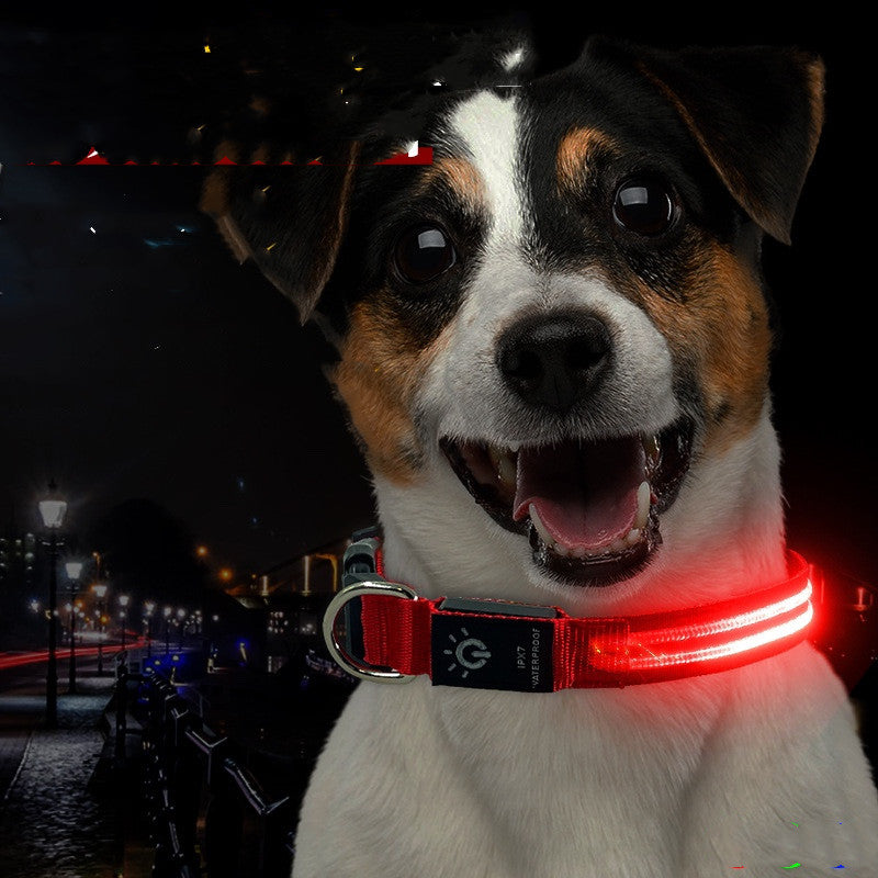 LED Waterproof Night cat dog Pet Collar with Lighting USB